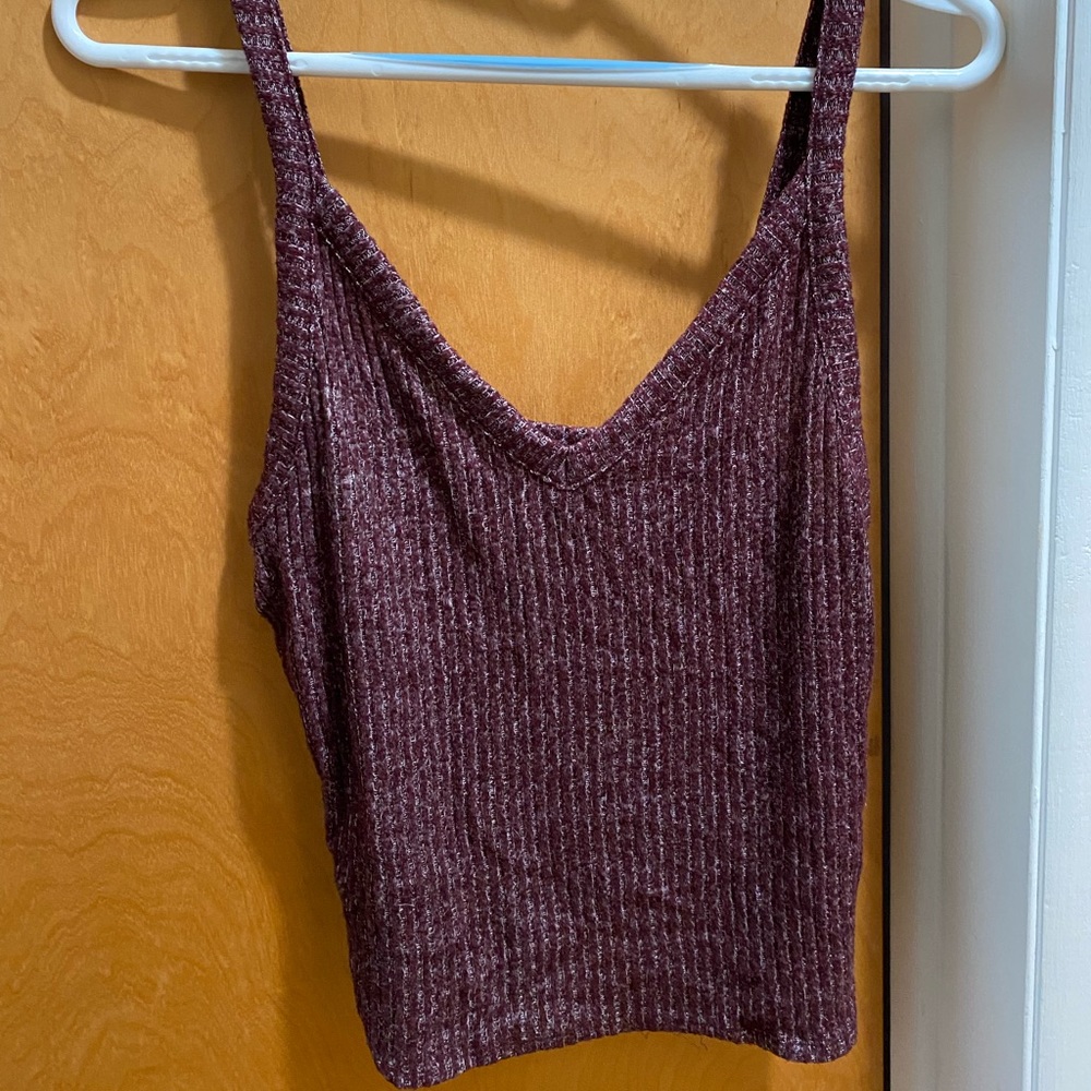 American Eagle Outfitters V Neck Ribbed Crop Sweater Tank